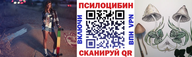 Псилоцибиновые грибы Psilocybe Купить Верхотурье